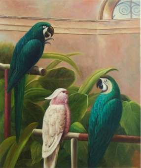 Image result for three parrots in cage