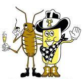 Cockroach Theory : Reaction Vs Response
