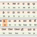 Which language have most number of words in the world?