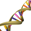 Science Of Genetics Behind The Hindu Gotra System – The Y Chromosome And The Male Lineage