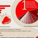 History of Spice