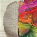 Left Brain Vs Right Brain