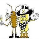 Cockroach Theory : Reaction Vs Response
