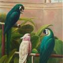 The 3 Parrots