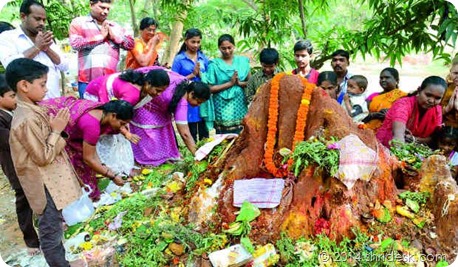 offering prayers and placing egg and milk at a snake nest